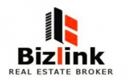 Bizlink